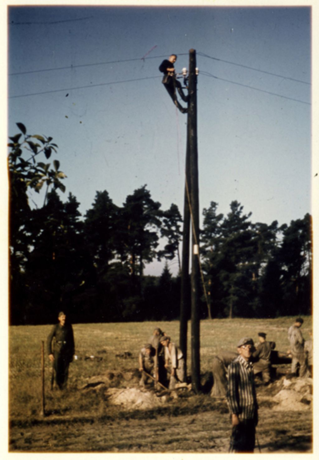 Das Farbbfoto zeigt Häftlinge des KZ-Außenlagers Lieberose in gestreifter Kleidung, die einen Strommast eingegraben haben, sowie SS-Männer in Uniform. Das foto wurde im August 1944 von einem SS-Mann aufgenommen. (Foto. Staatsarcvhiv Nürnberg)